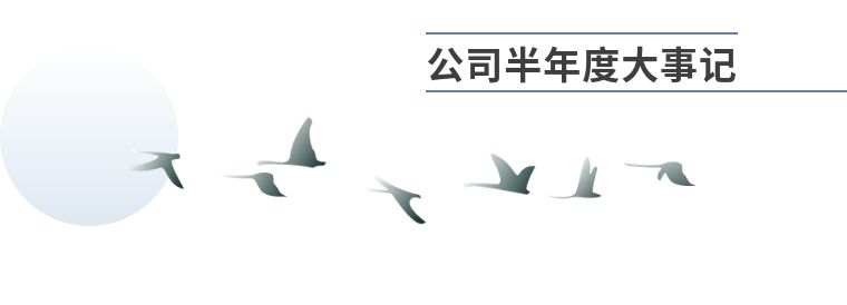 1552639002997032278.jpg